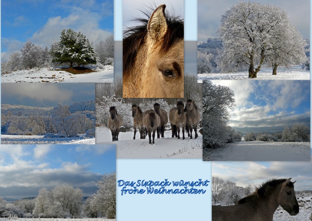 Frohe Weihnachten allen fc-lern