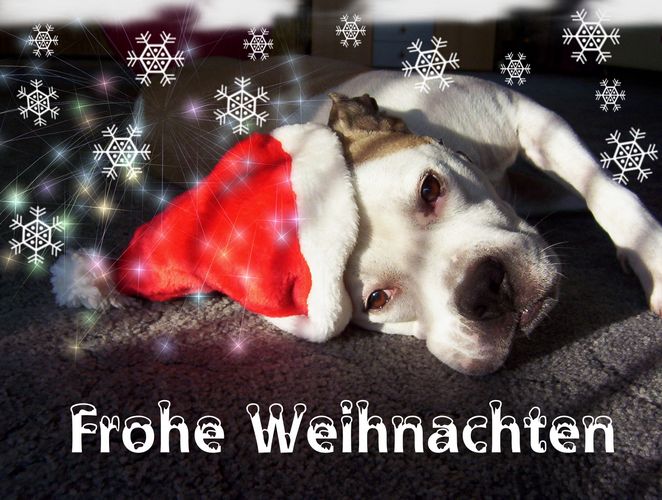 Frohe Weihnachten, auch von mir...