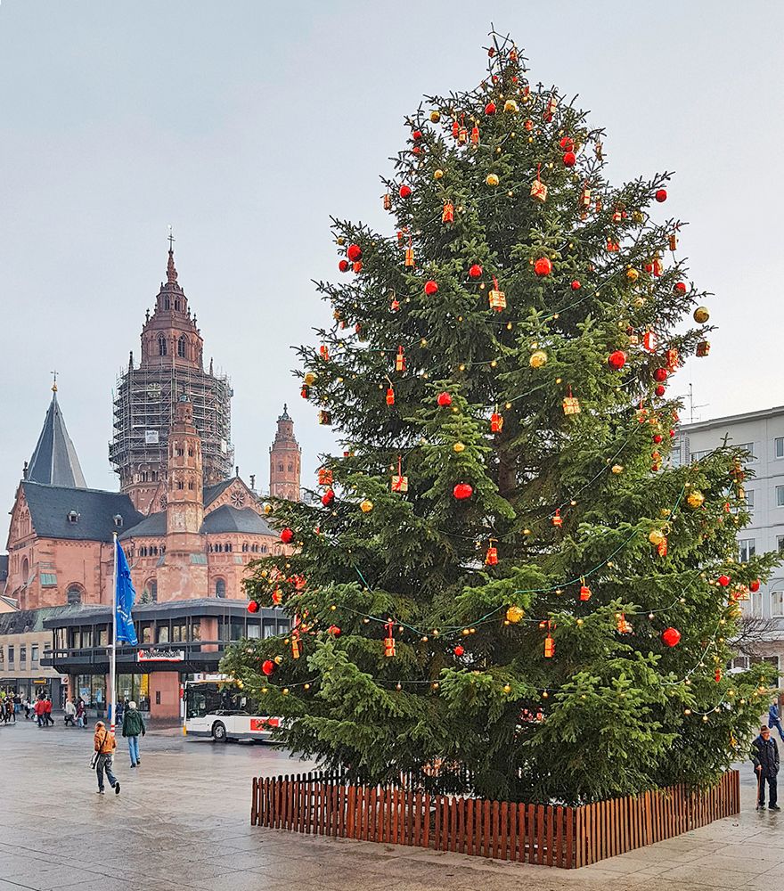 Frohe Weihnachten aus Mainz