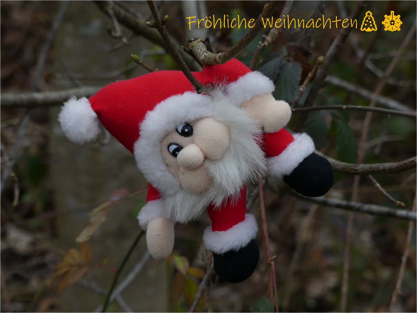 Frohe Weihnachten......