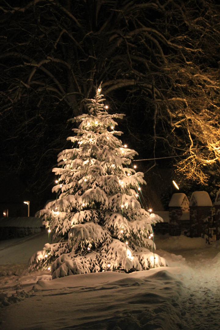 Frohe Weihnachten!!!