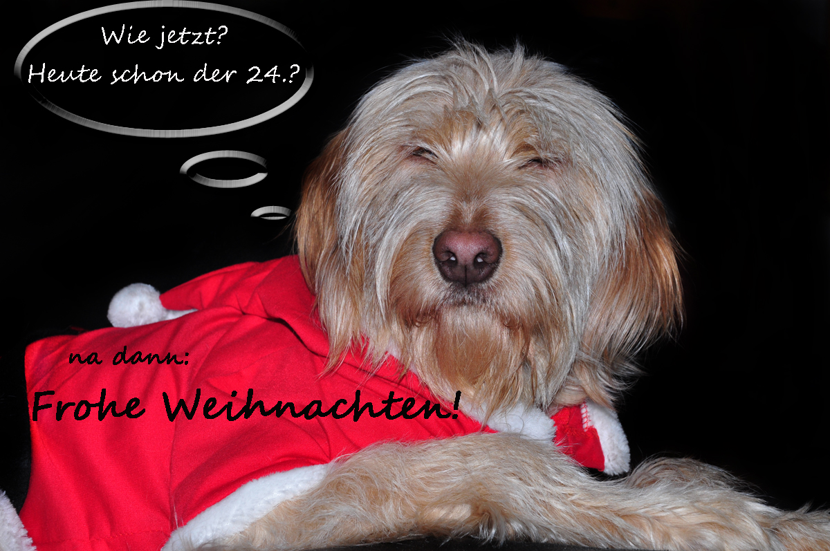 Frohe Weihnachten !