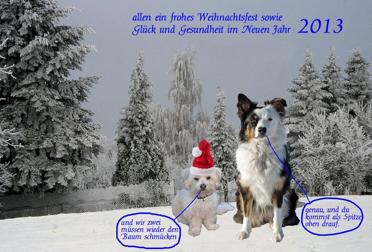 Frohe Weihnachten