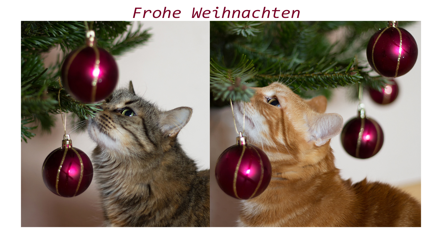 Frohe Weihnachten