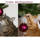 Frohe Weihnachten