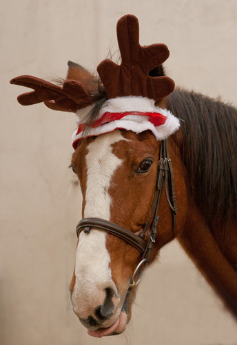 Frohe Weihnachten