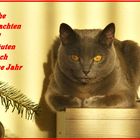 Frohe Weihnachten