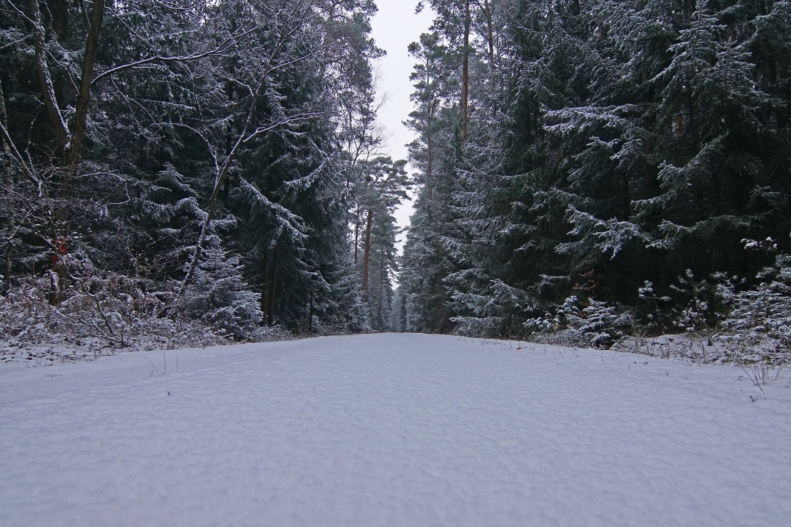 Frohe Weihnachten