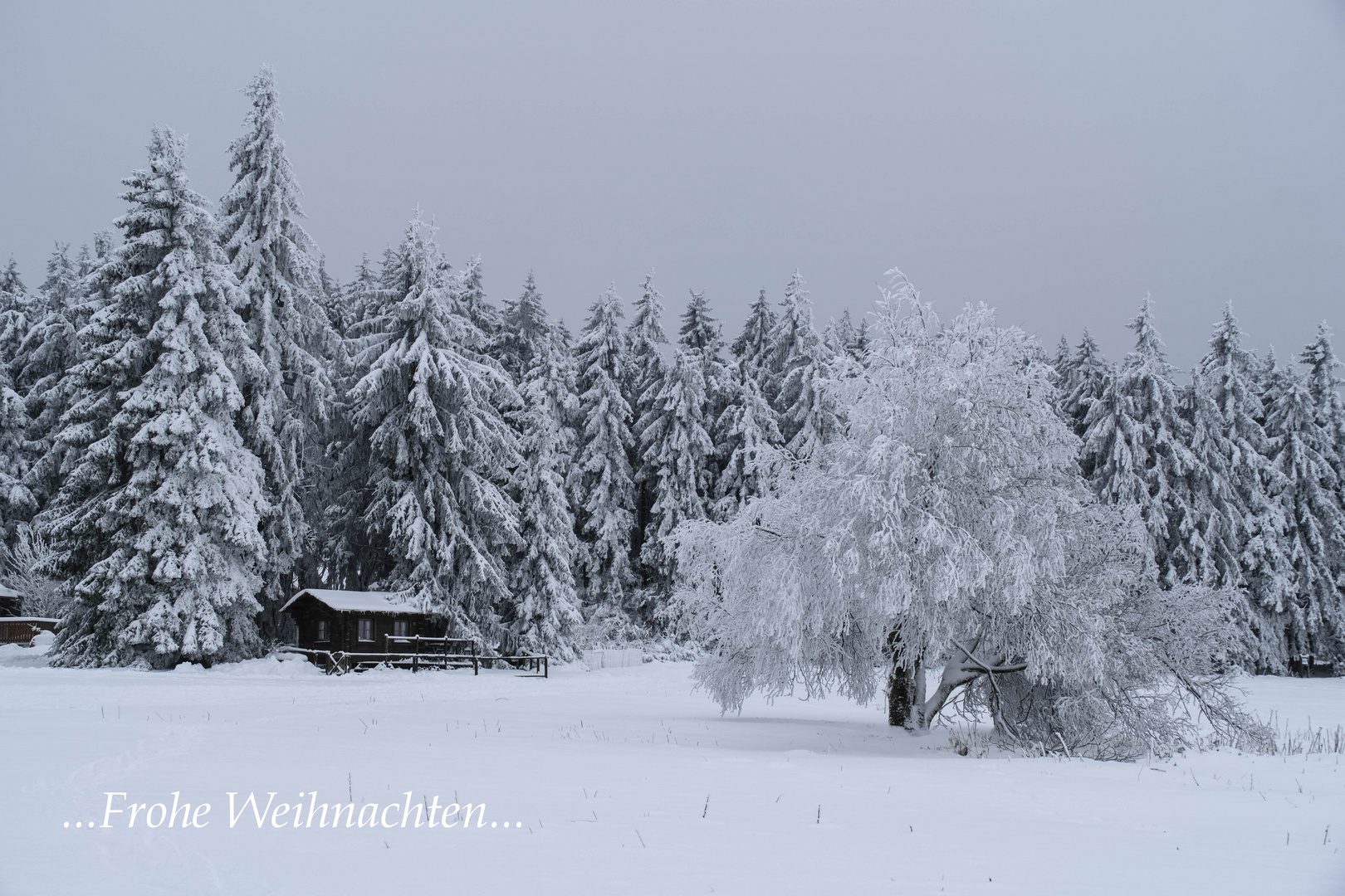 ...FROHE  WEIHNACHTEN...