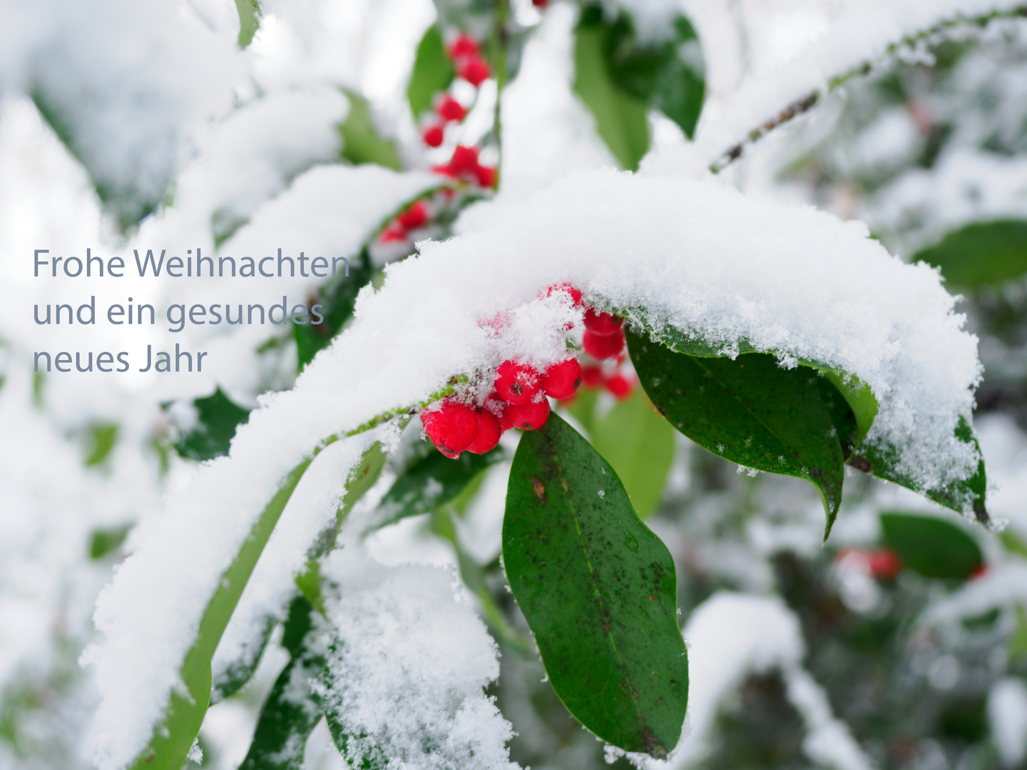 Frohe Weihnachten