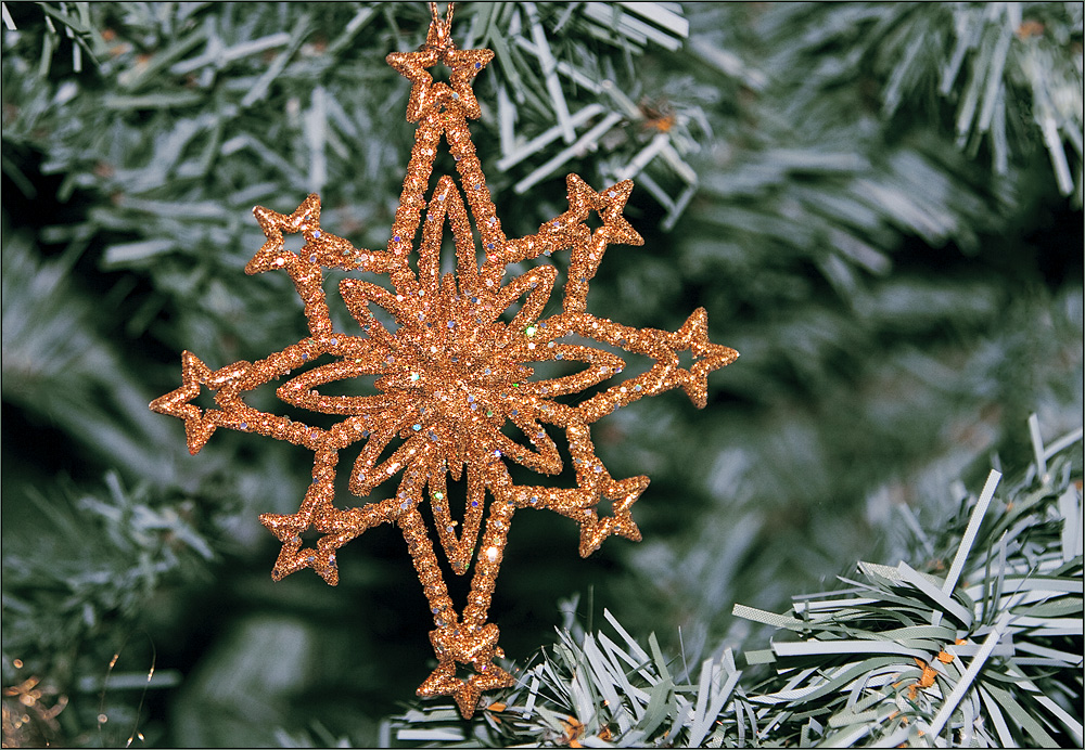 Frohe Weihnachten! Foto & Bild | gratulation und feiertage, weihnachten