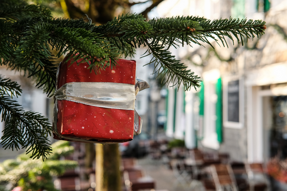 Frohe Weihnachten / Buon Natale