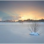 Frohe Weihnachten - Buon Natale - Feliz Navidad - Merry Christmas - Noel joyeux...