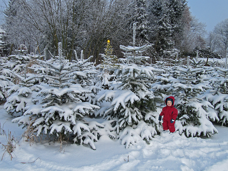 Frohe Weihnachten! Buon Natale! Stastne a vesele Vanoce!