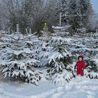 Frohe Weihnachten! Buon Natale! Stastne a vesele Vanoce!