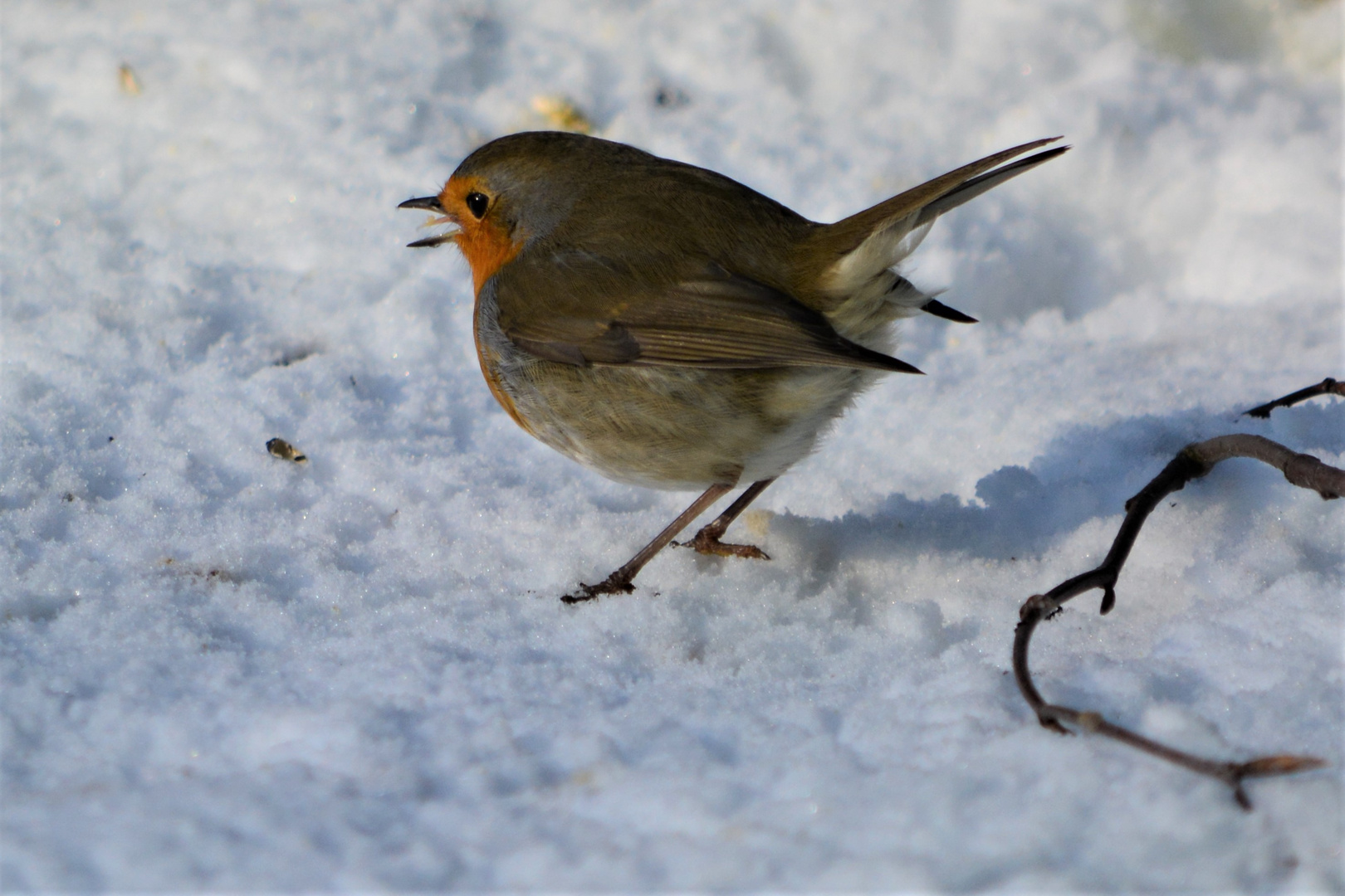 #.....Frohe Weihnachten........#