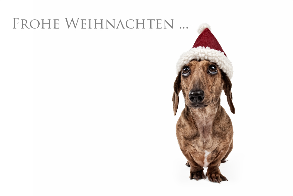 Frohe Weihnachten ...