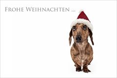 Frohe Weihnachten ...