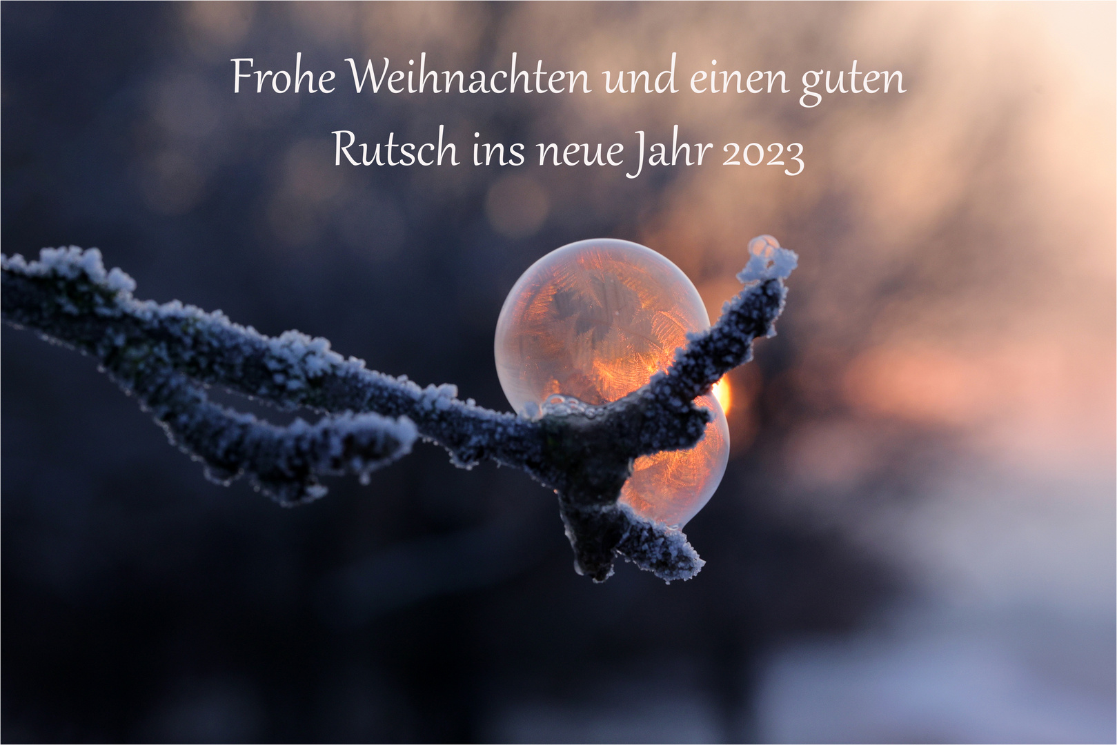 Frohe Weihnachten