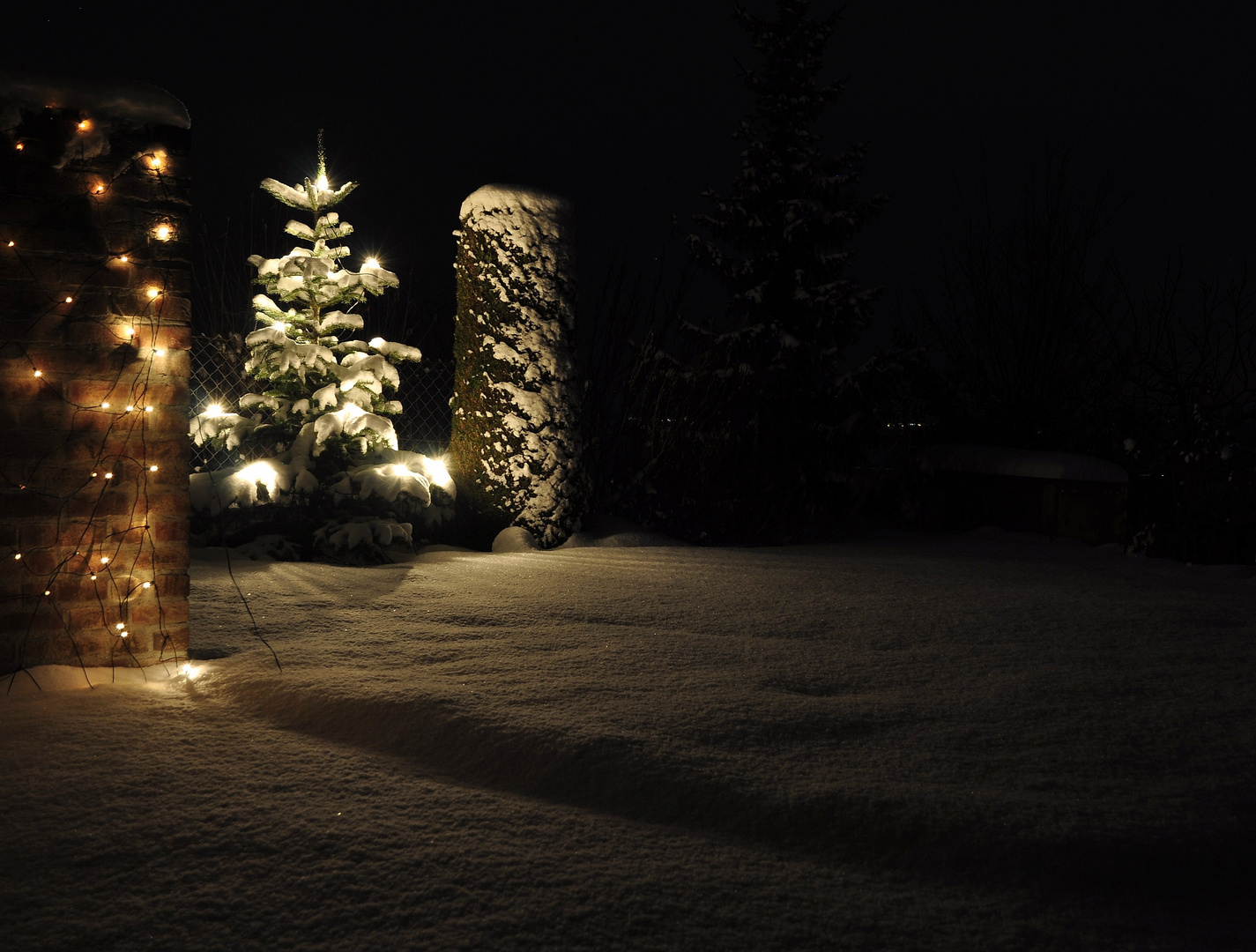 Frohe Weihnachten