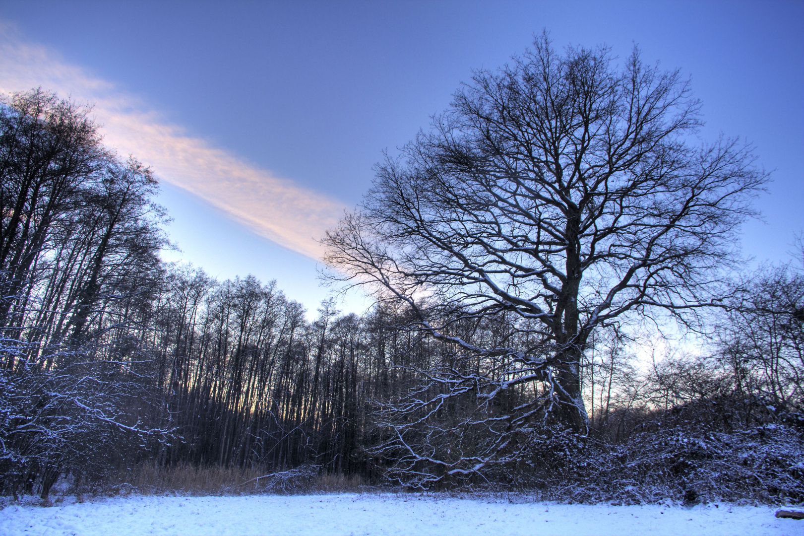 Frohe Weihnachten