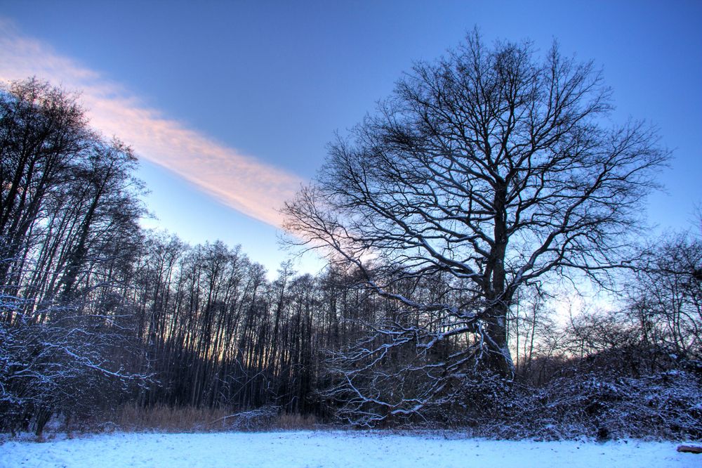 Frohe Weihnachten