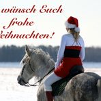 frohe Weihnachten