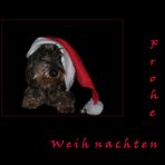 Frohe Weihnachten