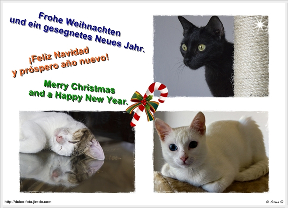 Frohe Weihnachten...