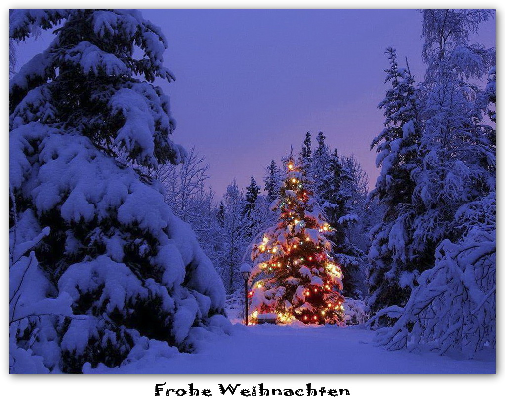 Frohe Weihnachten! Foto & Bild gratulation und feiertage, weihnachten