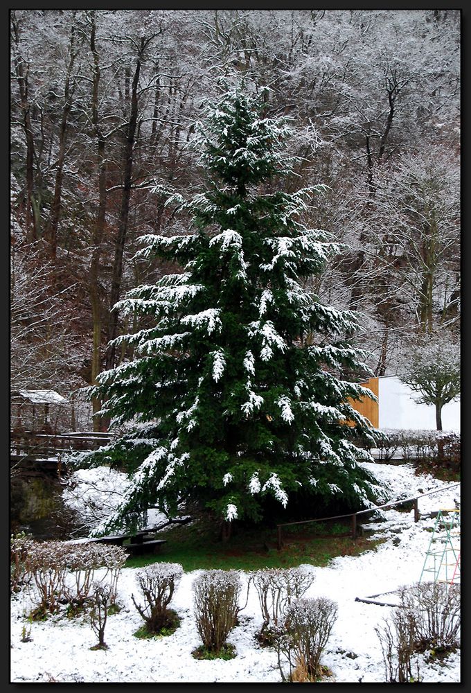 ...Frohe Weihnachten...