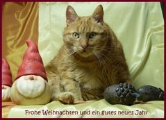 Frohe Weihnachten