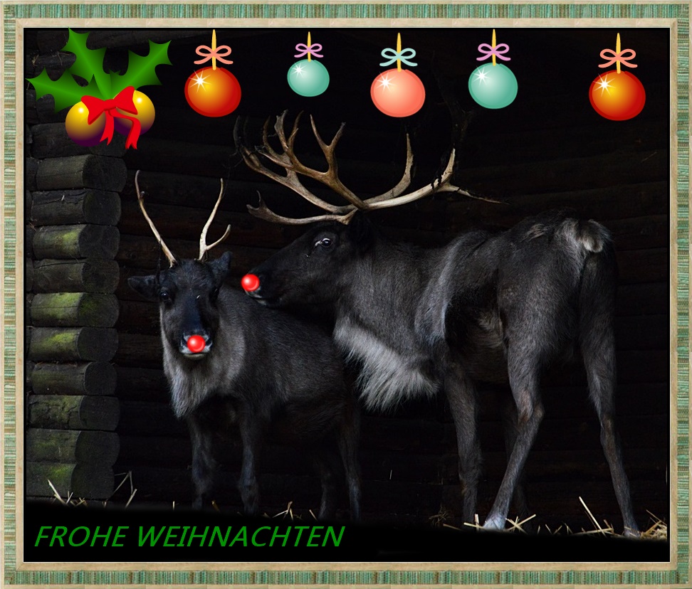 * Frohe Weihnachten *