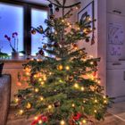 Frohe Weihnachten :-) da muss sogar der Tannenbaum schon dran glauben :-)