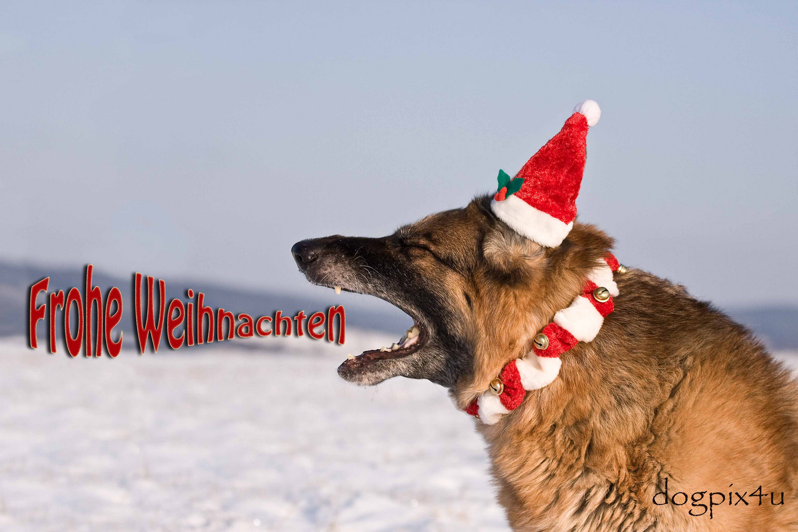 Frohe Weihnachten