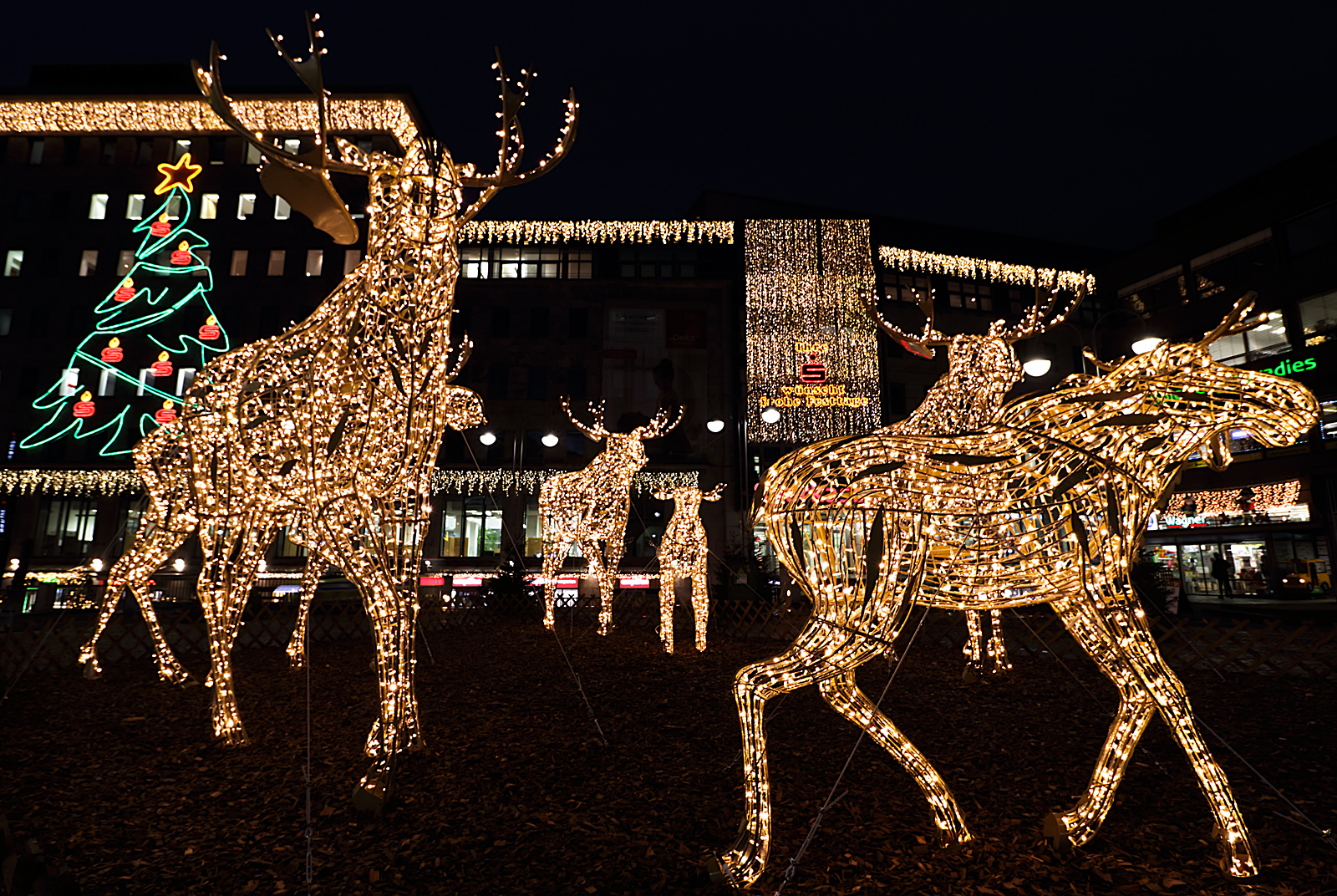 Frohe Weihnachten