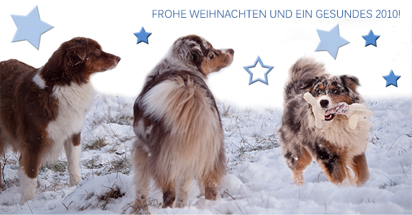 Frohe Weihnachten