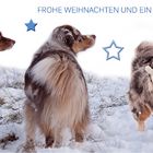 Frohe Weihnachten