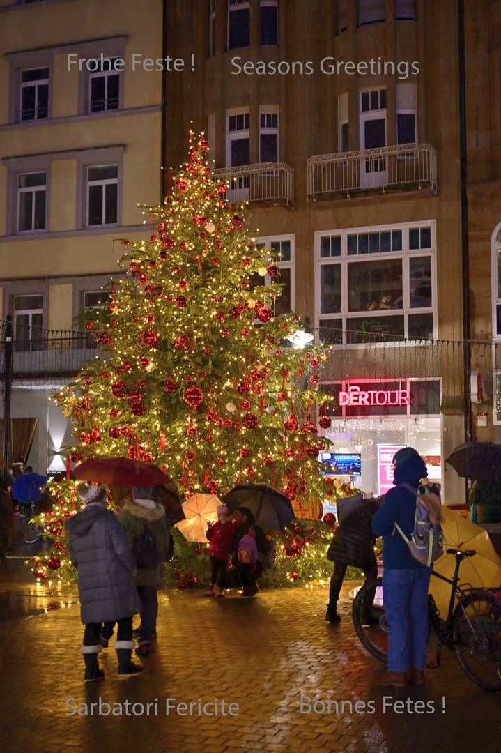 FRohe Weihnachten! DSC_4069bis