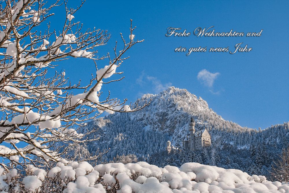 ** FROHE * WEIHNACHTEN! ** Foto & Bild weihnachten, world, bäume Bilder auf