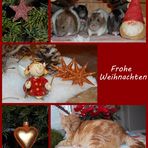 Frohe Weihnachten!