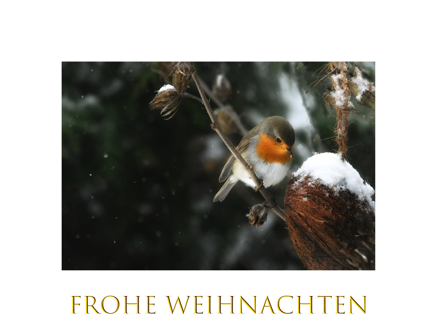 Frohe Weihnachten