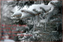 Frohe Weihnachten!