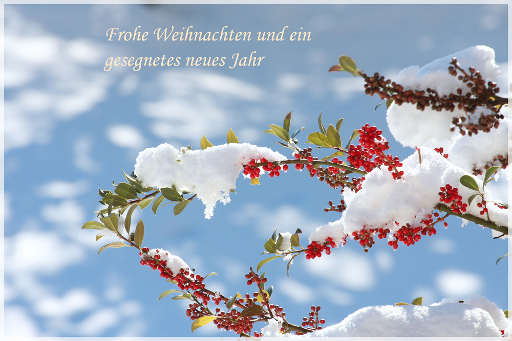 Frohe Weihnachten!