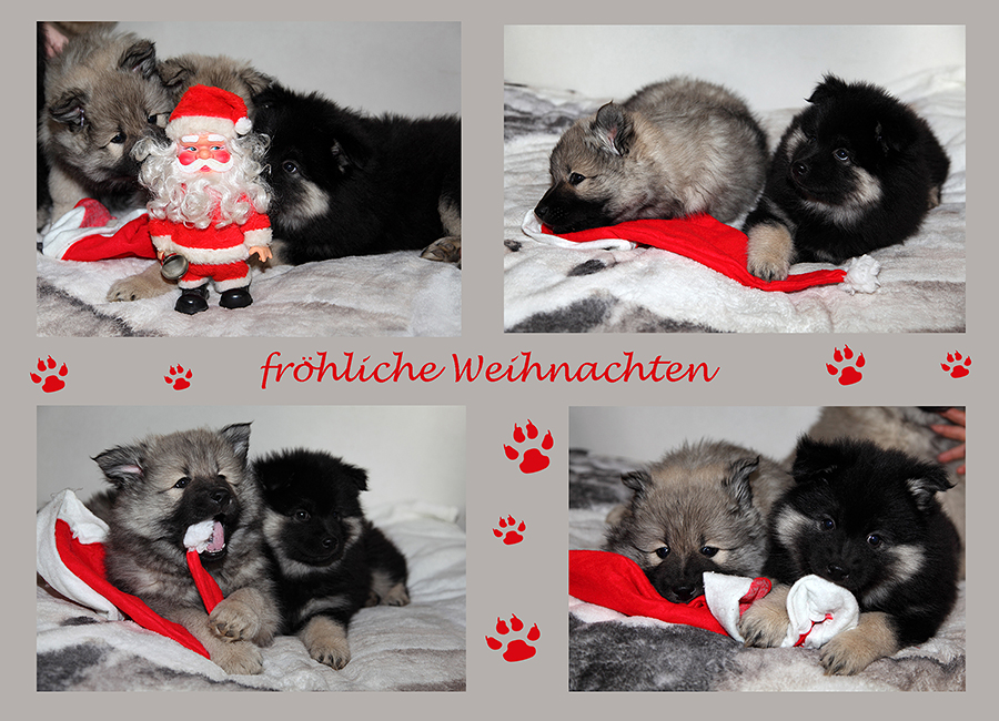 Frohe Weihnachten