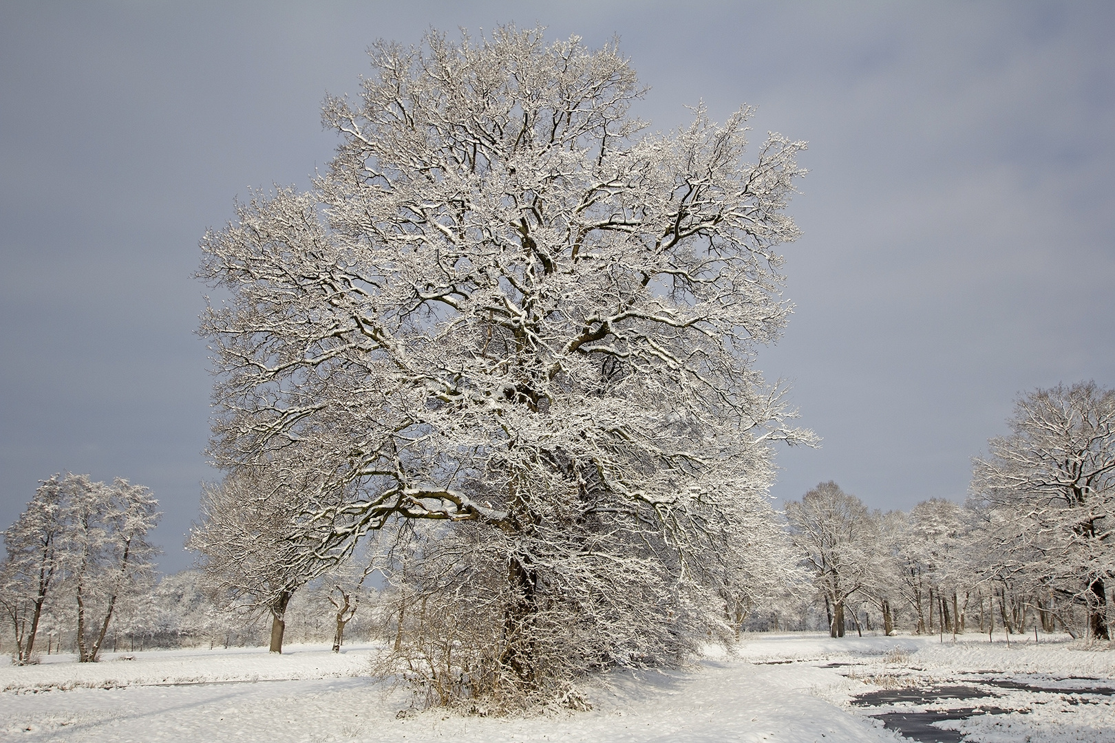 Frohe Weihnachten