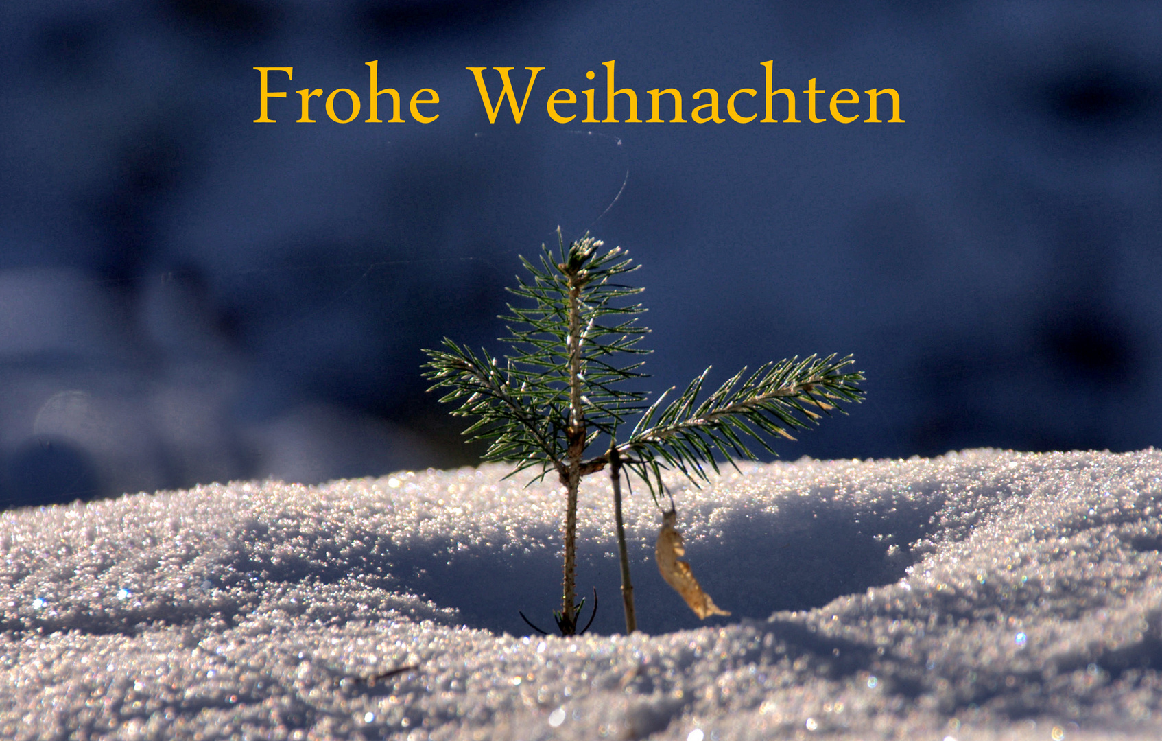 Frohe Weihnachten