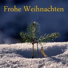 Frohe Weihnachten