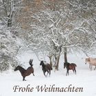 Frohe Weihnachten!