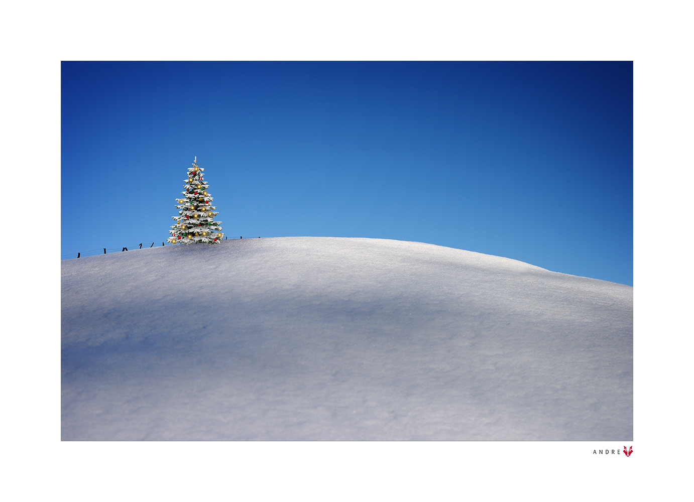 FROHE WEIHNACHTEN